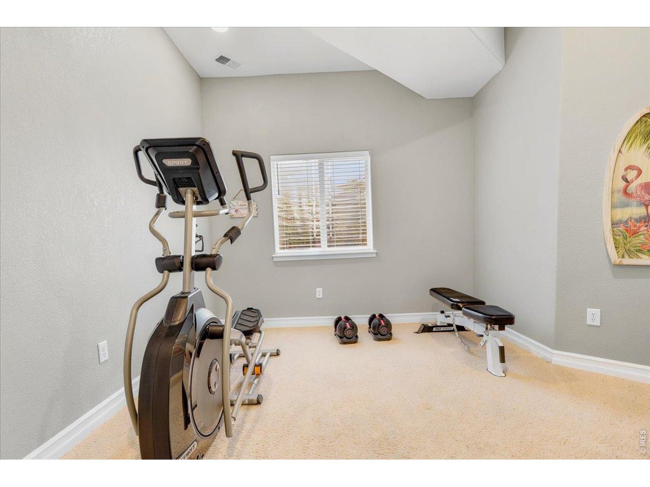 Fifth bedroom in the basement could be great for guests or as a home gym