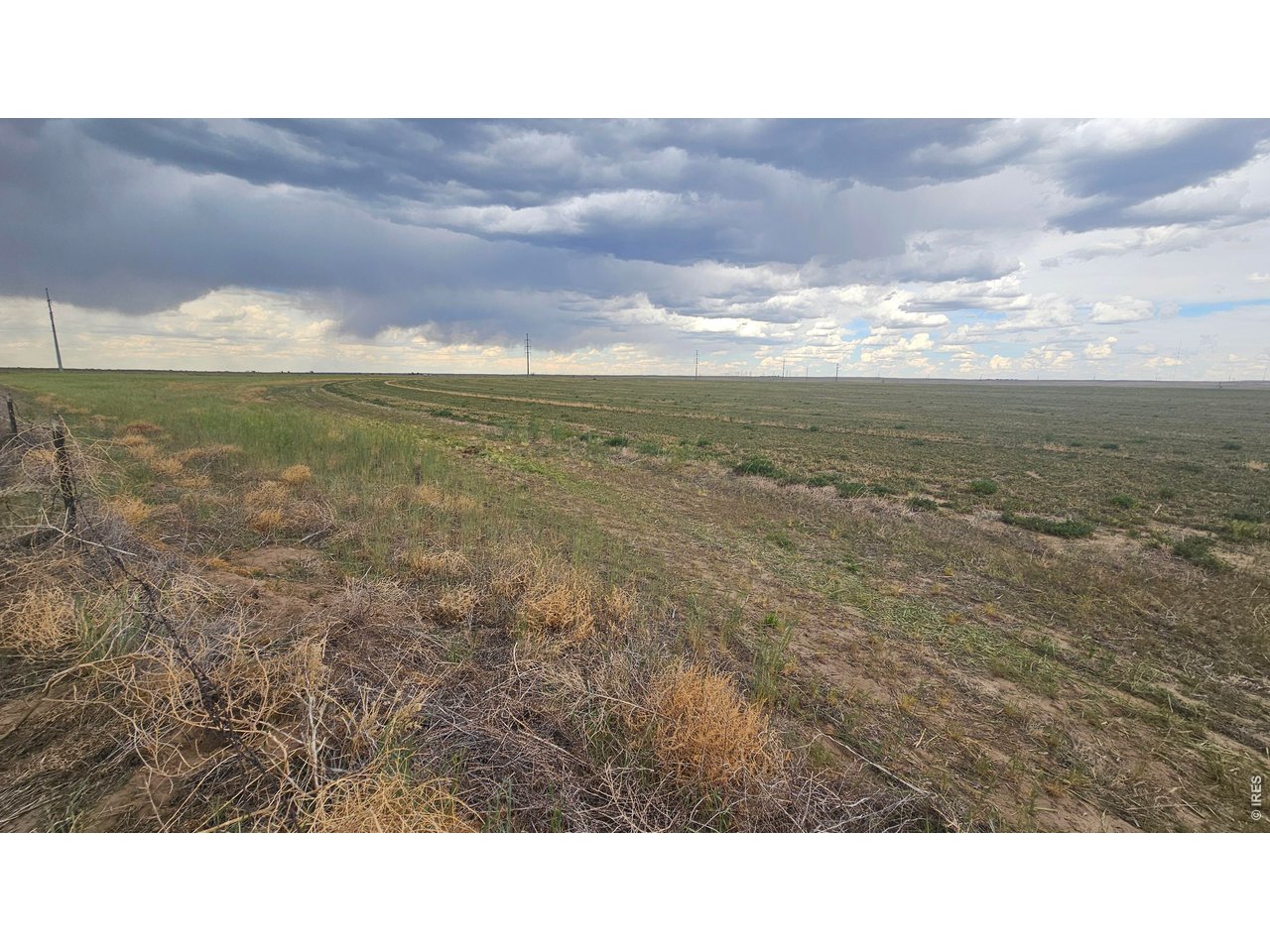 Irrigated Alfalfa looking northeast