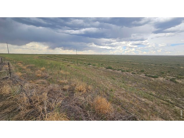 Property Photo 12 Irrigated Alfalfa looking northeast