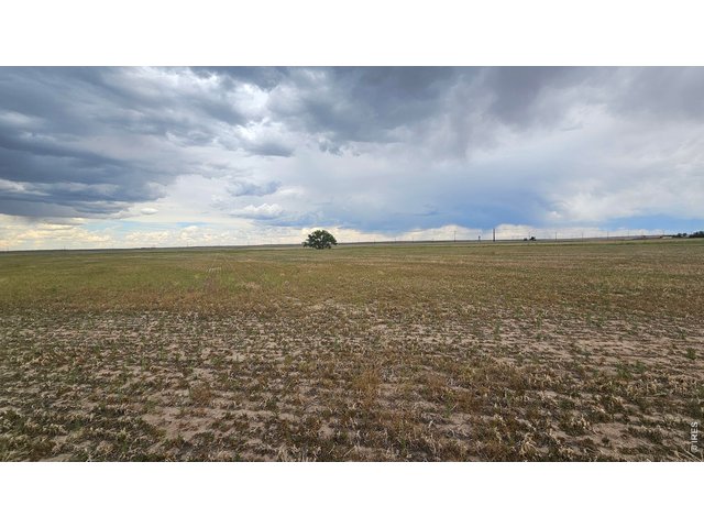 Property Photo 17 Dryland looking east