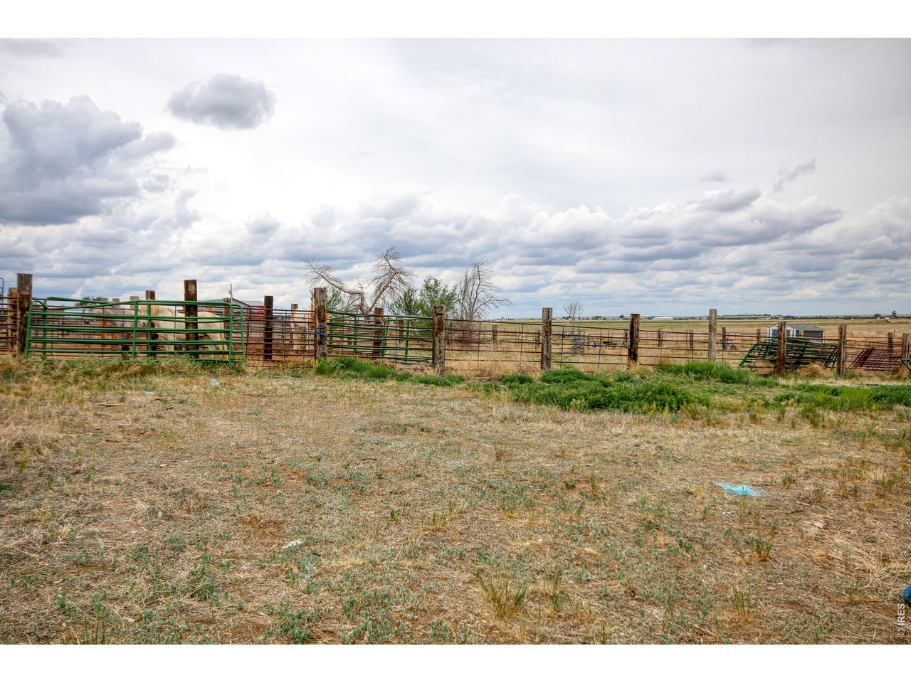 Property Photo 39 