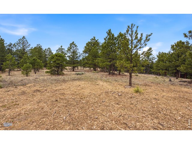 Property Photo 15 