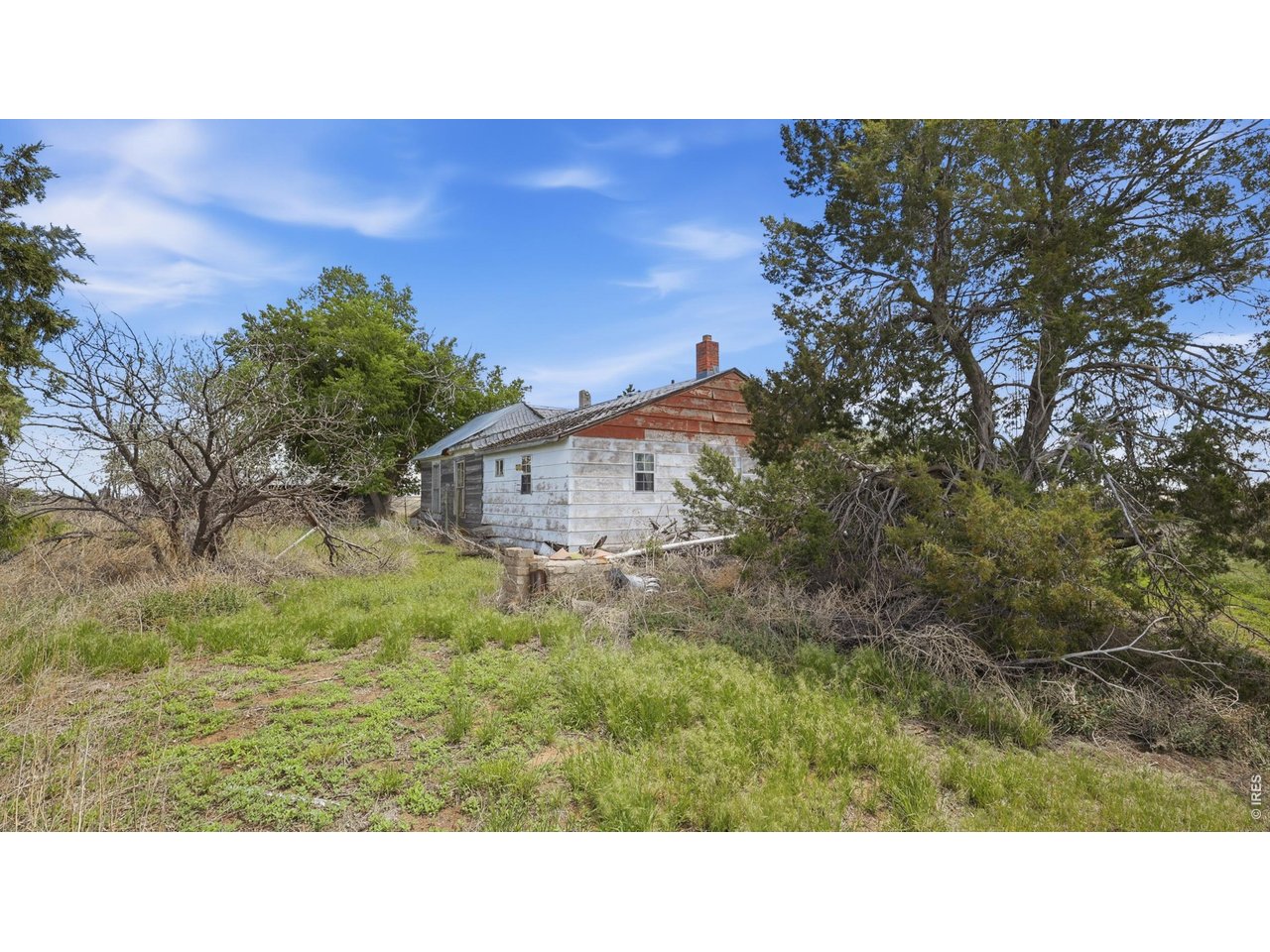 Homestead view2