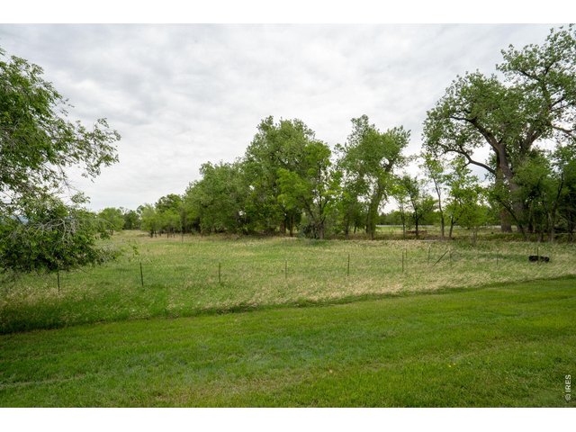 Property Photo 12 Trees lining ditch