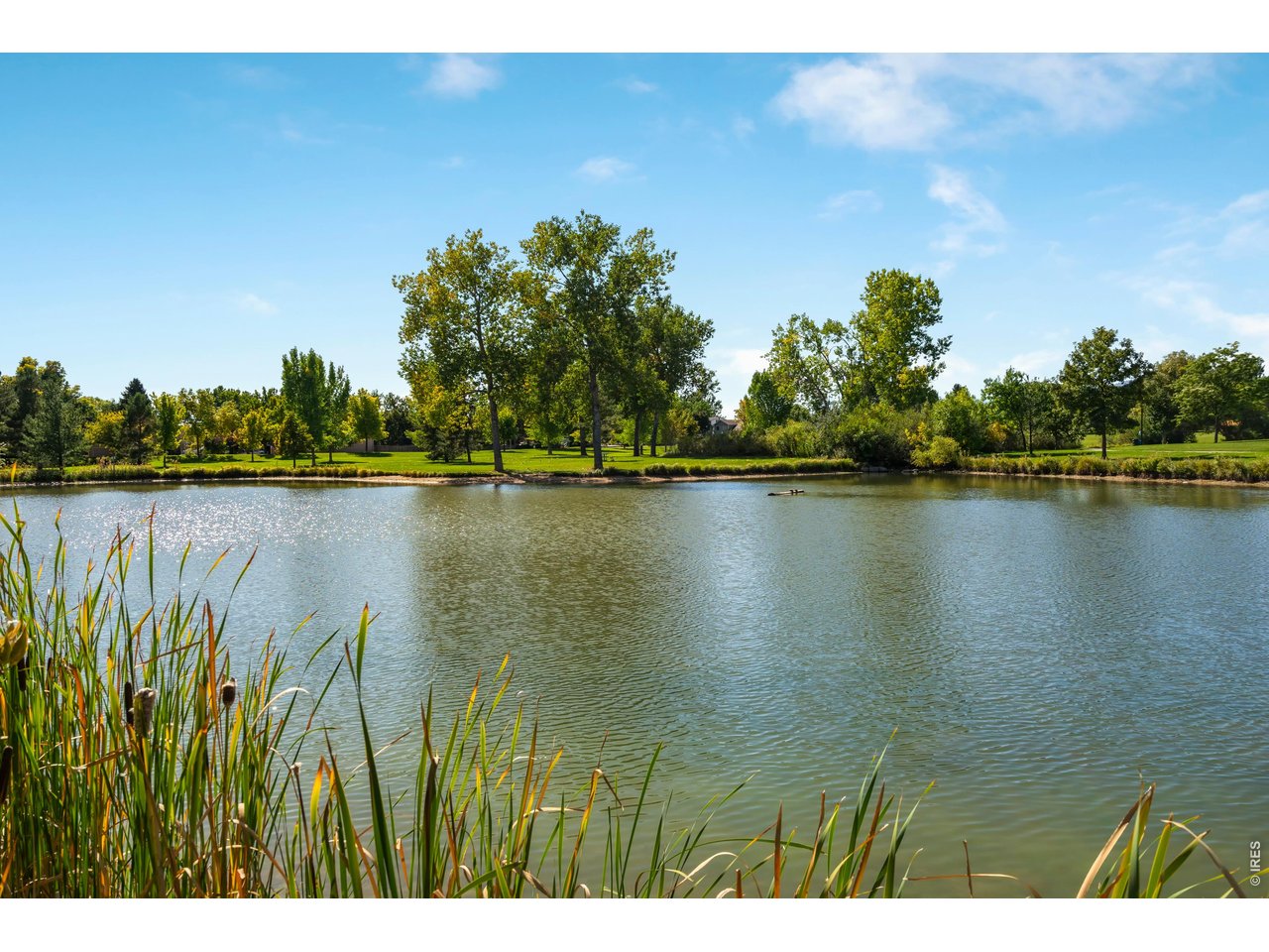 Troutman park is adjacent to Lopez Elementary (the neighborhood school) and has 2 ponds for fishing, a tennis court, basketball court, playground, picnic area and walking trails.