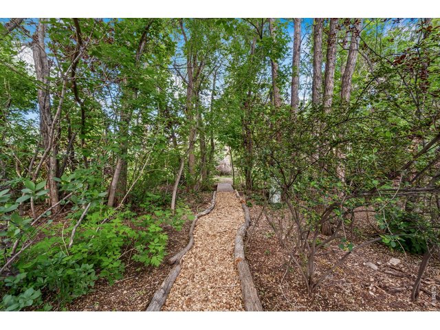 Property Photo 39 