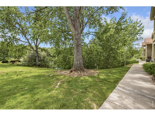 Property Photo 41 