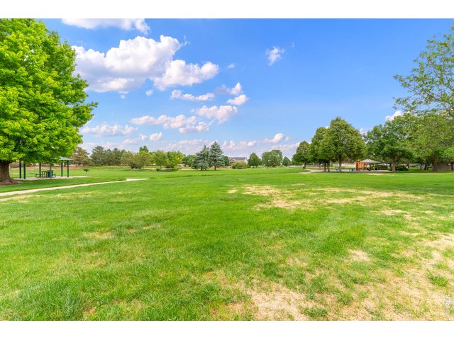 Property Photo 46 
