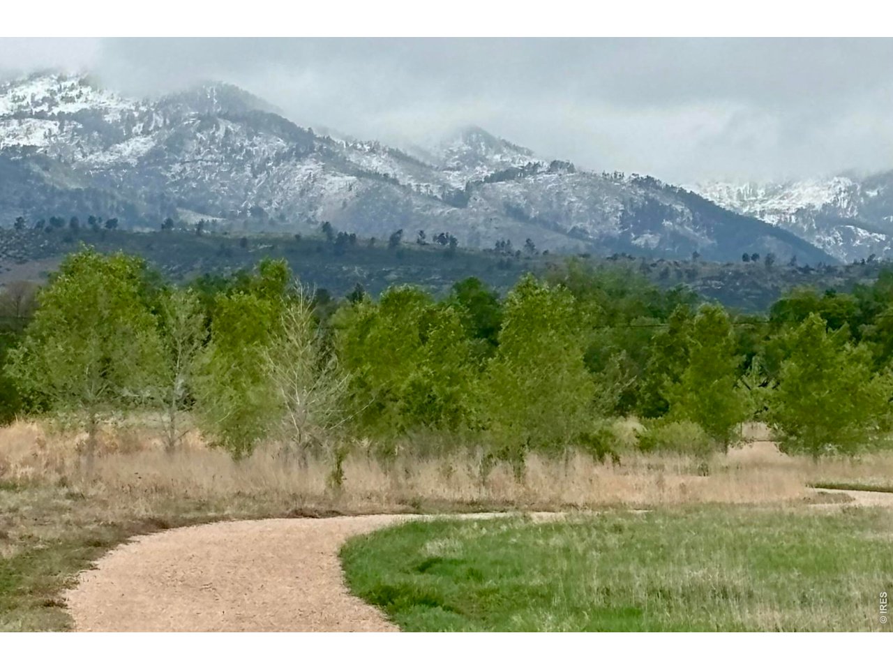 Property Photo 26 Foothills from Kestrel Fields Natural Area
