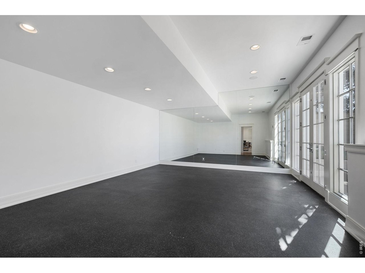 Full workout studio on the lower level 