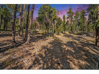 231 Granite Dr Drake, CO 80515