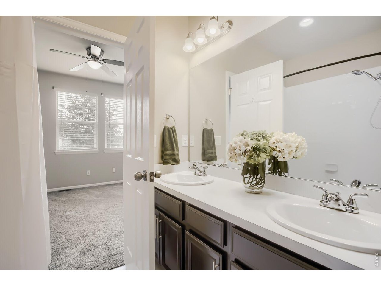 Jack and Jill Bathroom