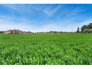1574 Hauck Meadows Dr Frederick, CO 80504