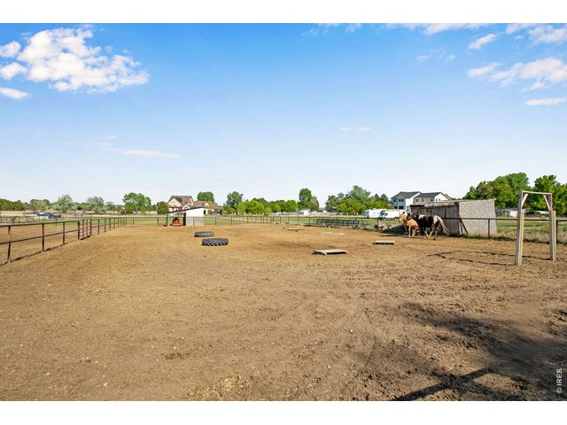 Property Photo 45 Arena 