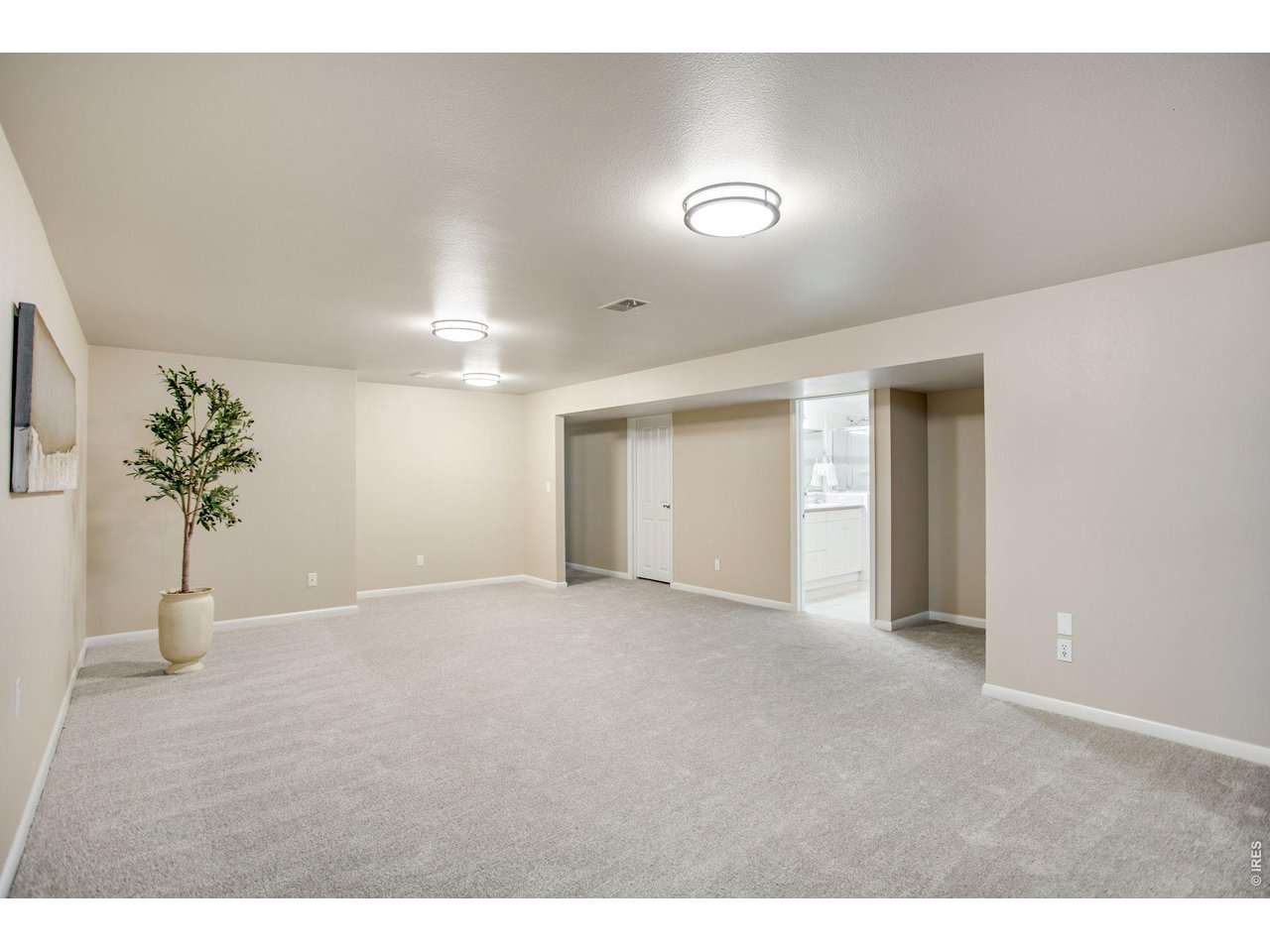 Wow look at this space! Fully Finished basement! 