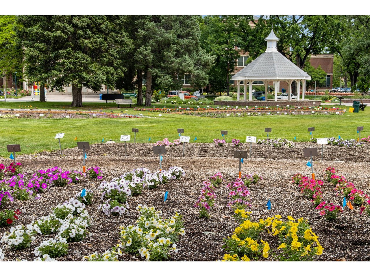 Take a quick stroll to the Trial Gardens just down the street! 