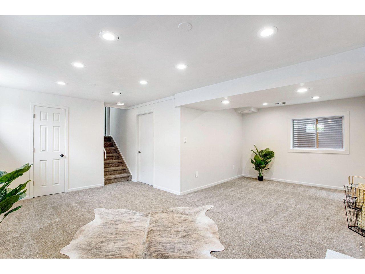 Additional Living/Flex Space in the Lower Level