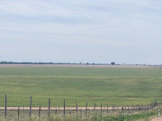0 TBD Wiggins, CO 80654