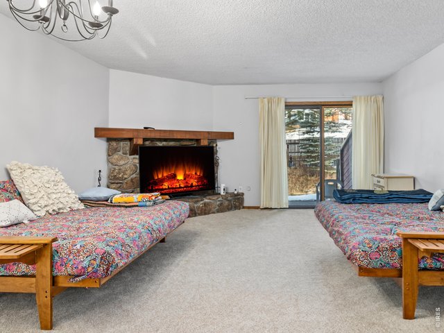 Property Photo 10 Living room has patio and stream access