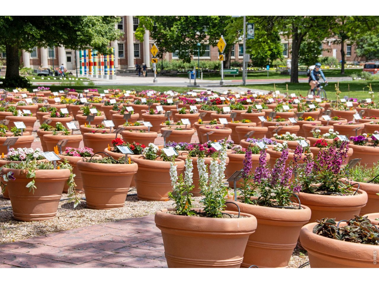 A gardener's sanctuary just a stroll from one of the country's most celebrated trial gardens - inspiration is quite literally moments away! 