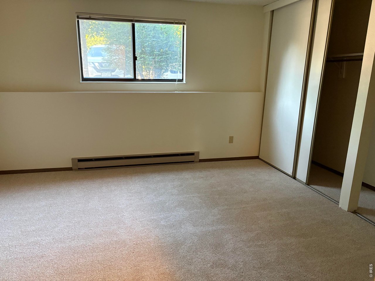 Bedroom - new carpet and paint!