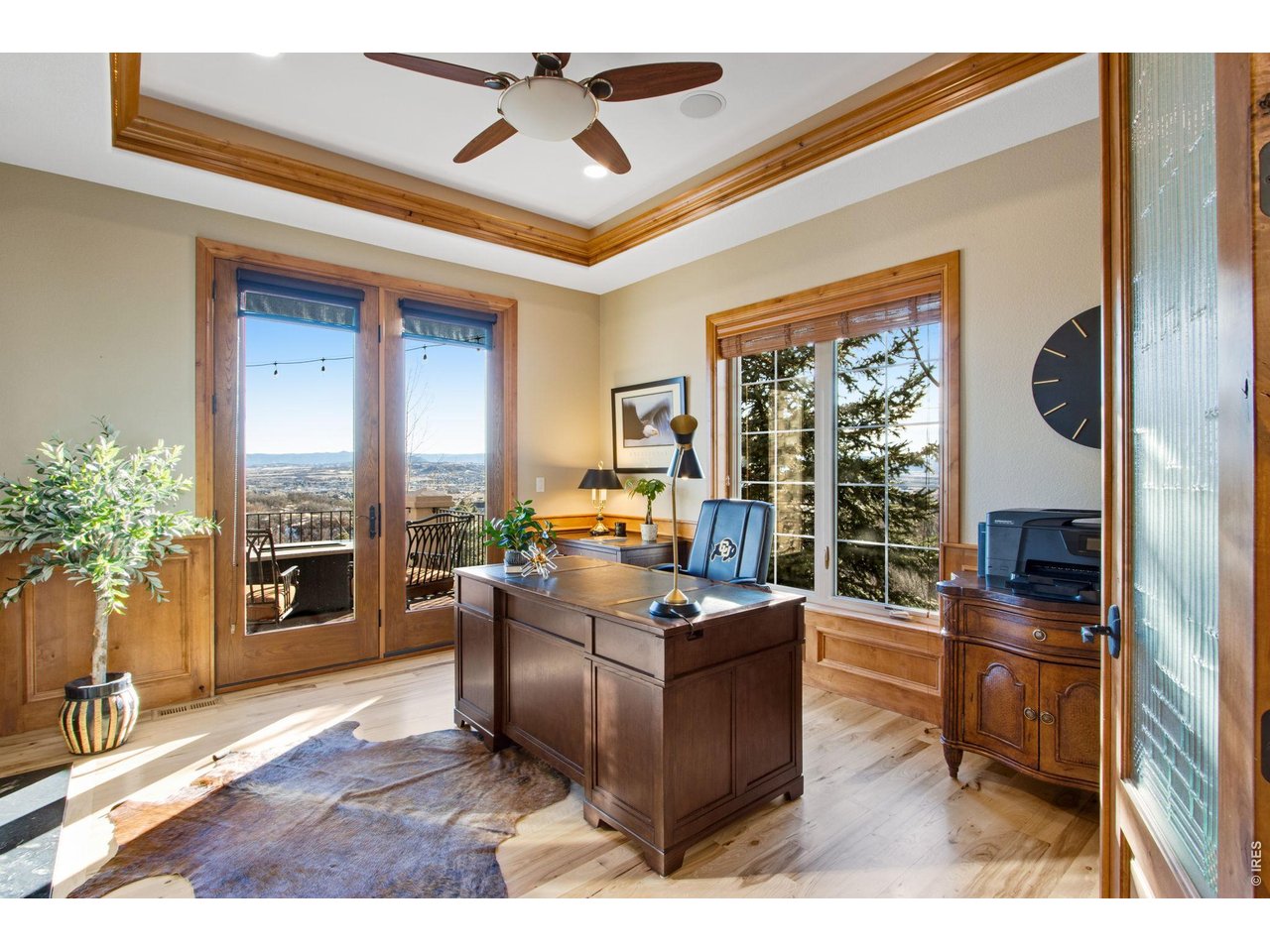 Property Photo 27 French doors lead you into an executive office featuring a gas fireplace with granite backsplash, trey ceiling with fan, wainscoting, crown molding, rope lighting plus patio access