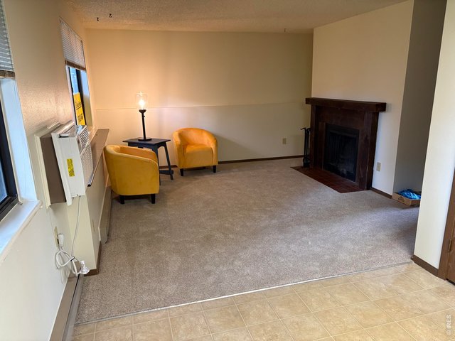 Property Photo 7 Living room, new carpet and paint!
