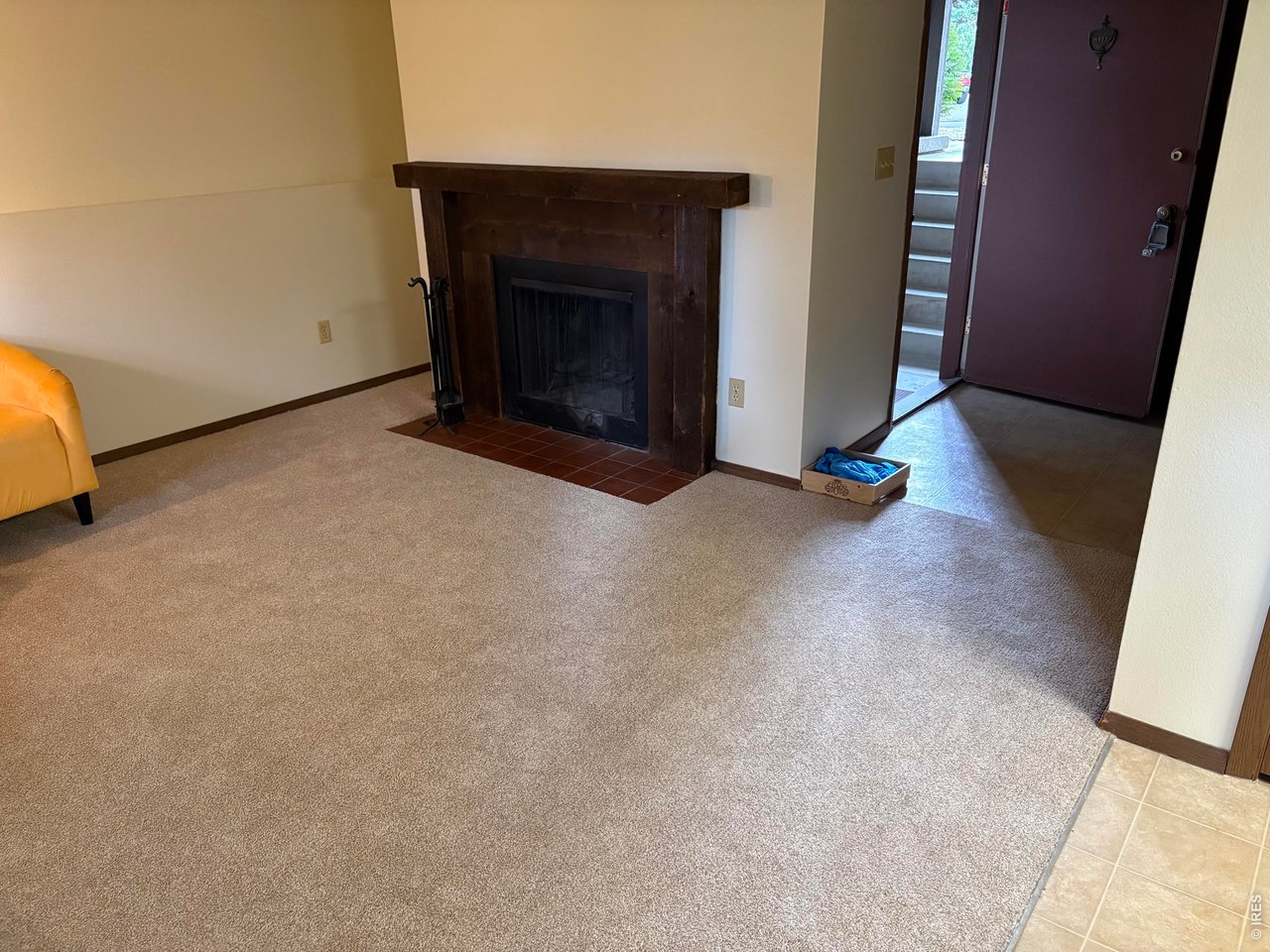 Wood burning fireplace