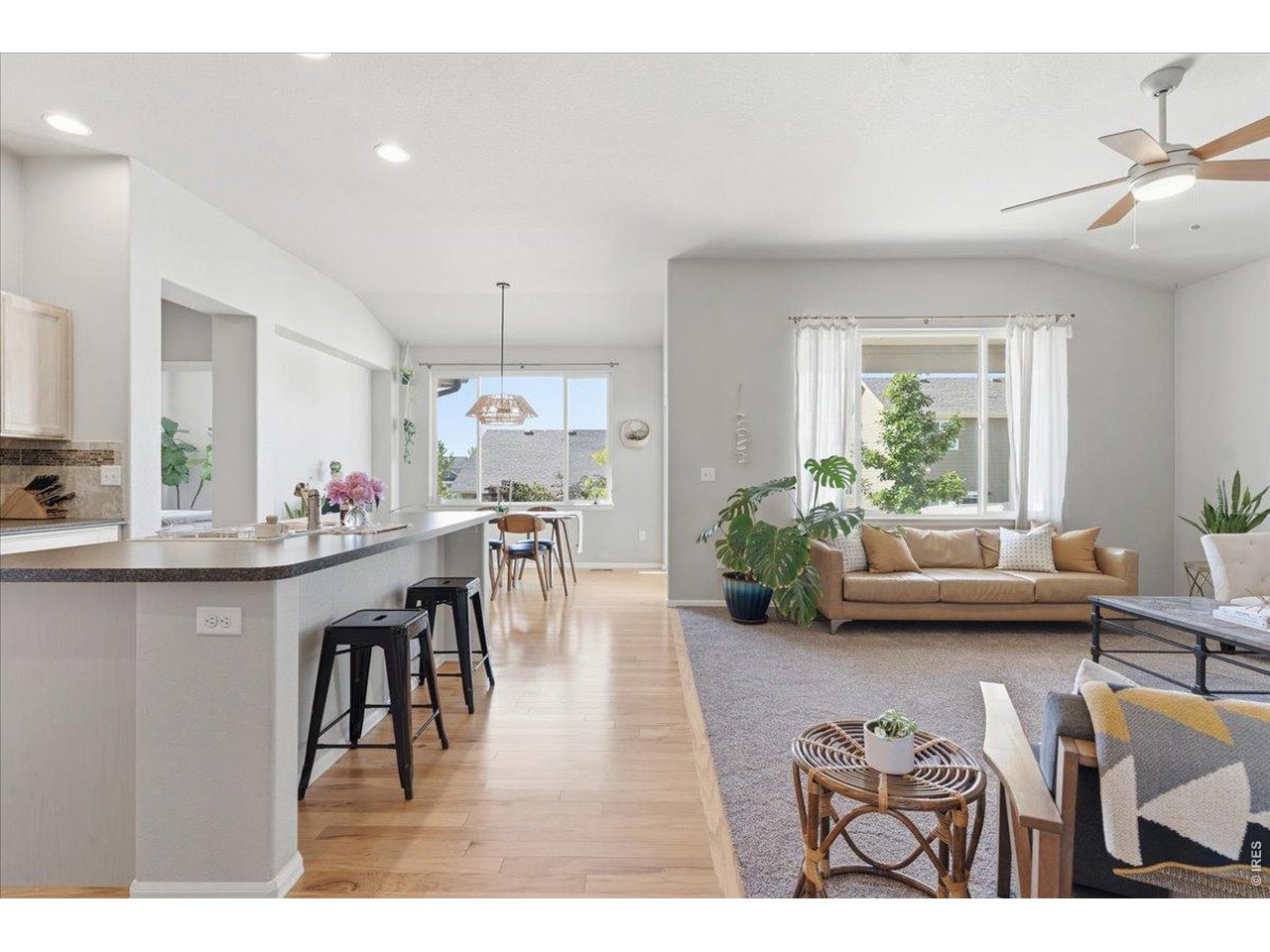 Open concept floorplan