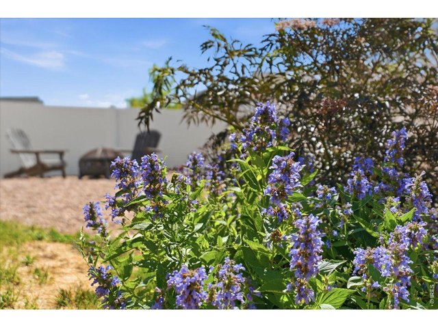 Property Photo 38 