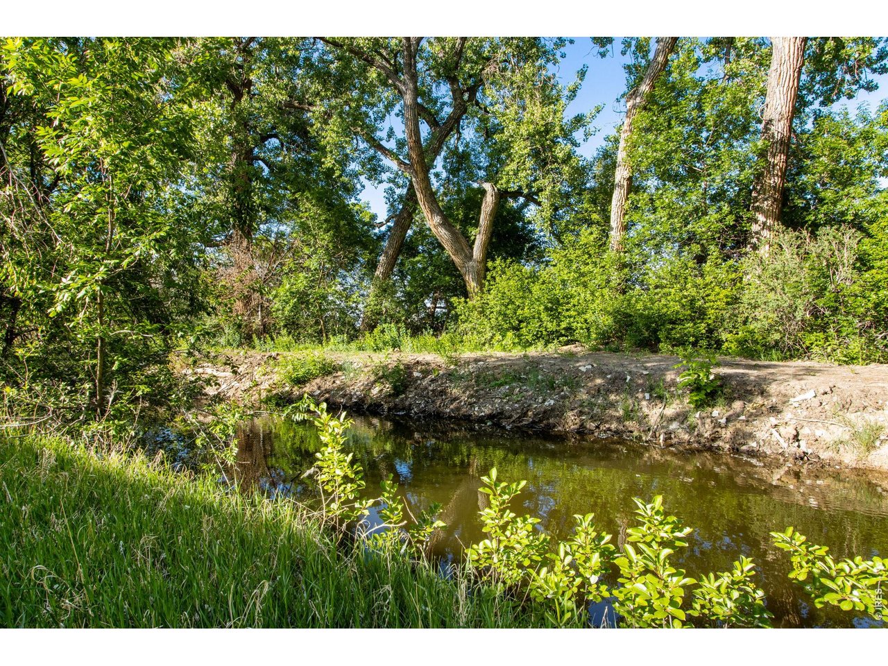 Borders Cassell Creek to the east, lush Cottonwoods. 