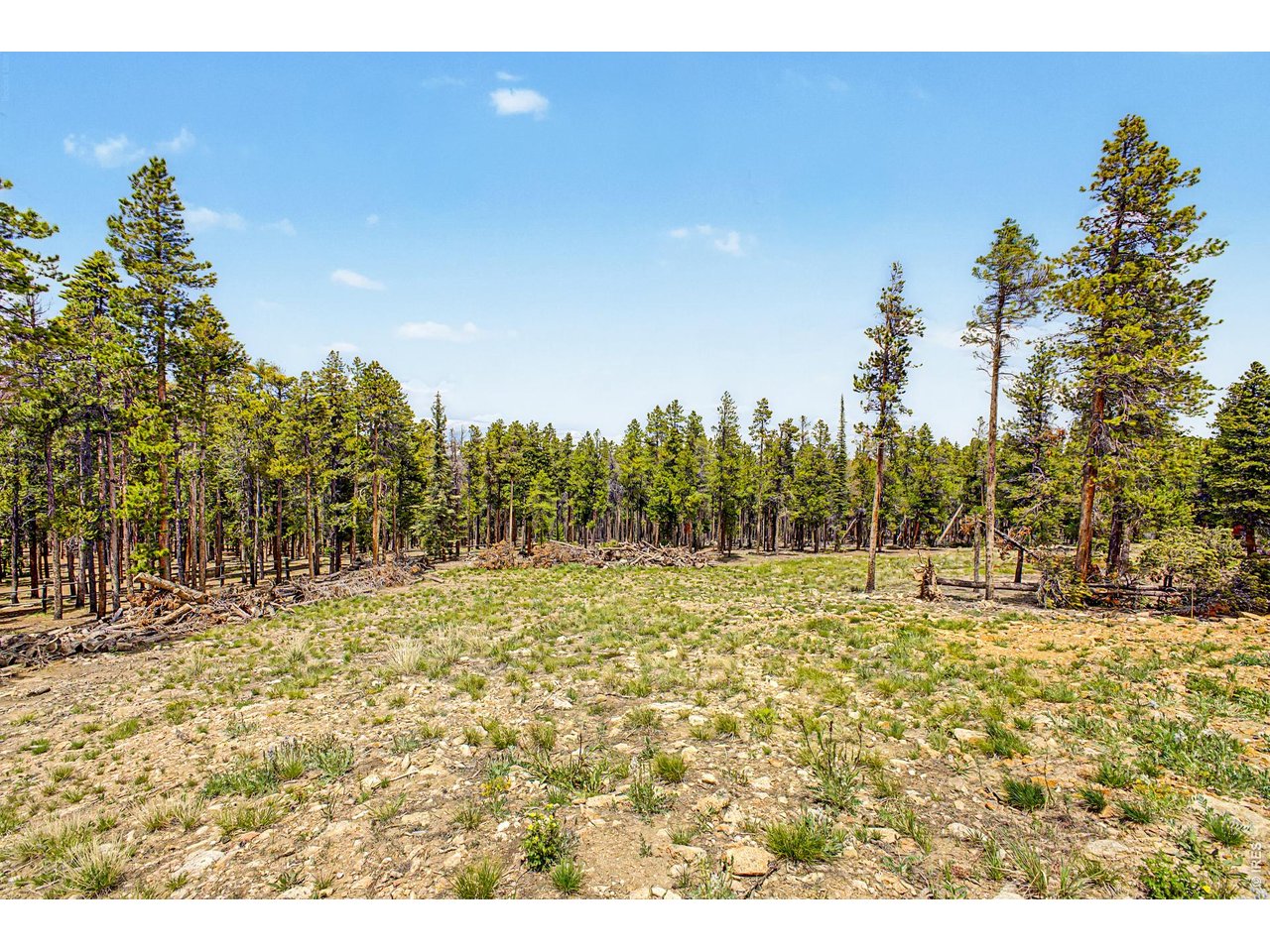 Property Photo 7 Flat useable lot 