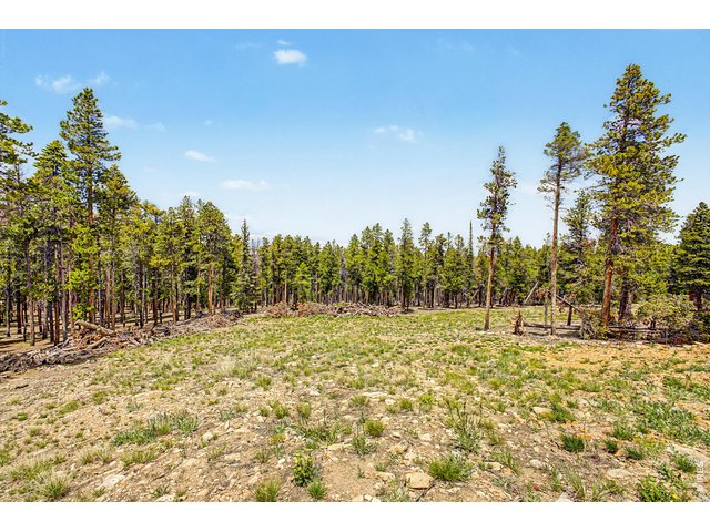 Property Photo 7 Flat useable lot 