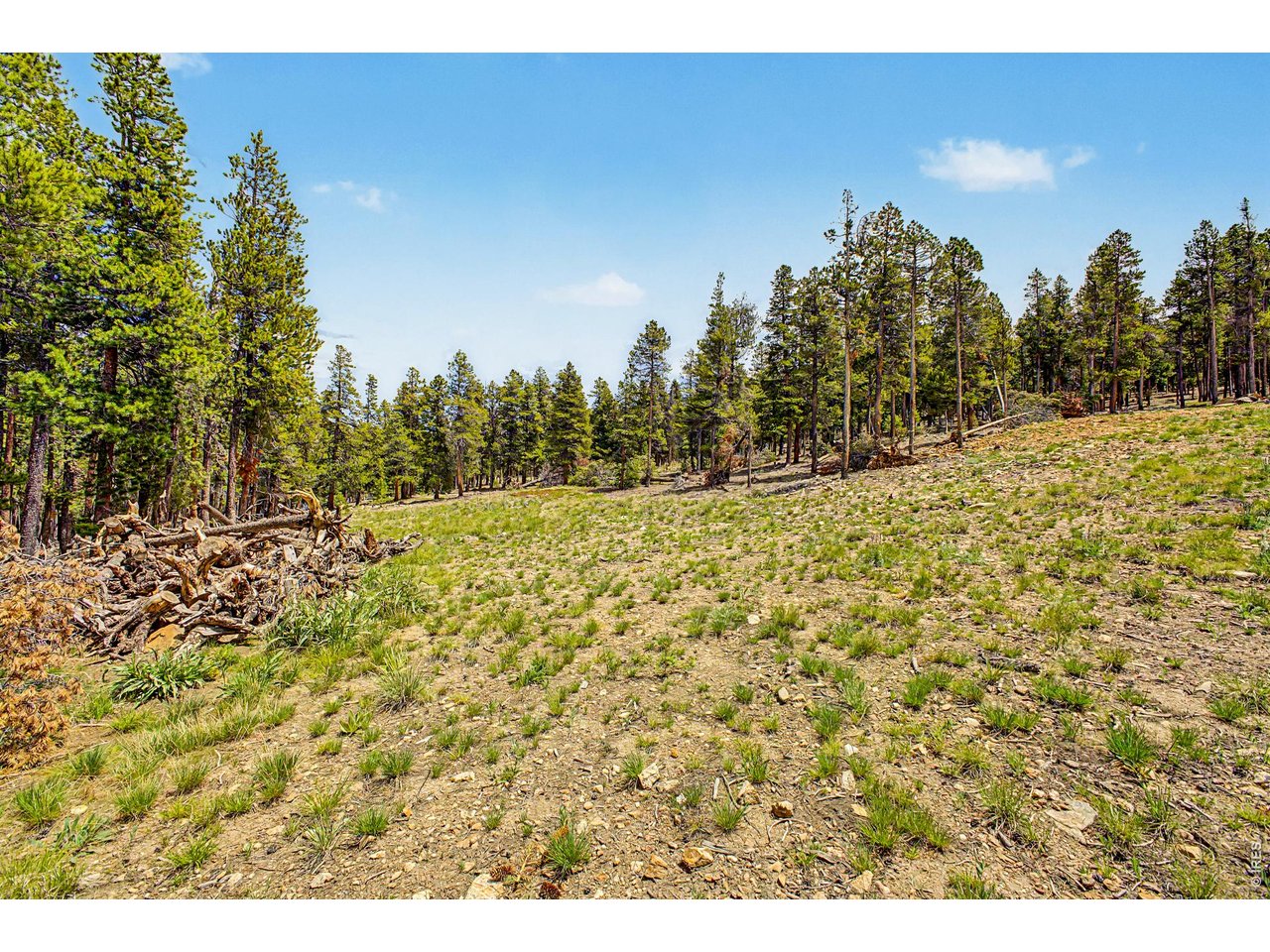 Property Photo 10 WATER WELL ALREADY DRILLED!
