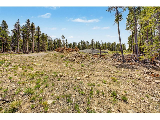 Property Photo 29 Lot already cleared