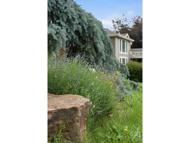Property Photo 20 
