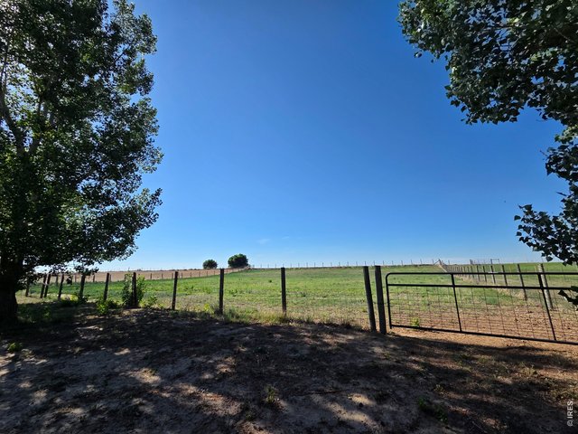 Property Photo 4 Green Pasture