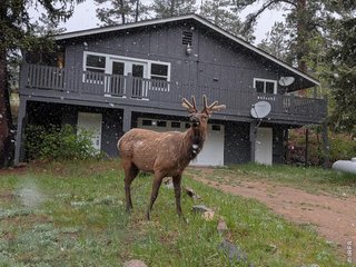 163 West Creek Rd Glen Haven, CO 80532