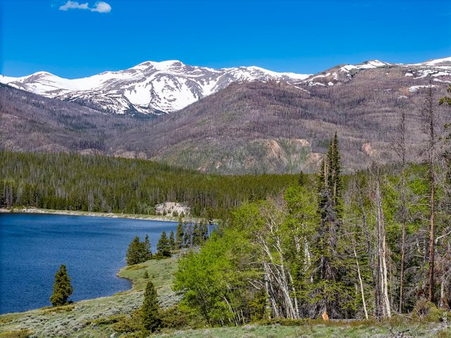 Property Photo 1 Never Offered For Sale Before - 16 Lakefront Acres on Barnes Meadow Reservoir!