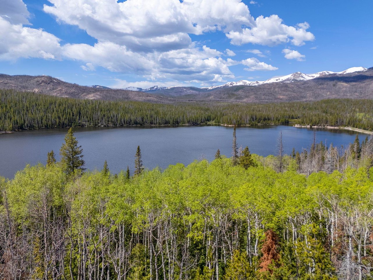 Property Photo 15 A Diverse Mountain Landscape with Open Views and Mature Tree Cover