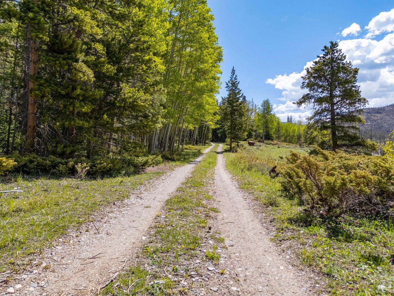 Property Photo 19 The road leading to the property is dirt but easy to navigate with the appropriate vehicle. 