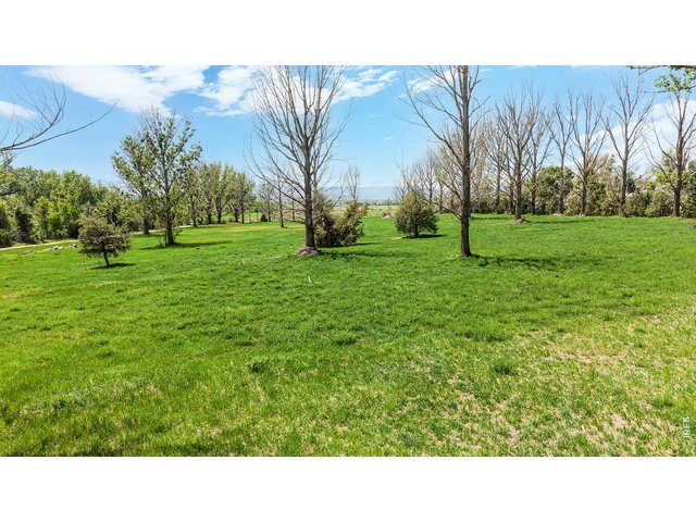 Property Photo 31 