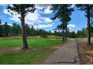 3021 Lake Arapahoe Ct Red Feather Lakes, CO 80545