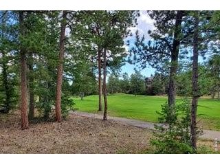 3031 Lake Arapahoe Ct Red Feather Lakes, CO 80545