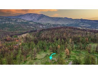 179 Green Ridge Rd Drake, CO 80515