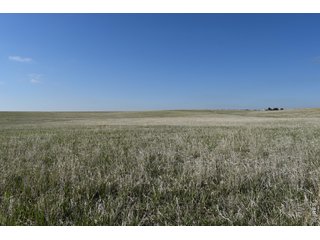 (TBD) County Road DD Akron, CO 80720