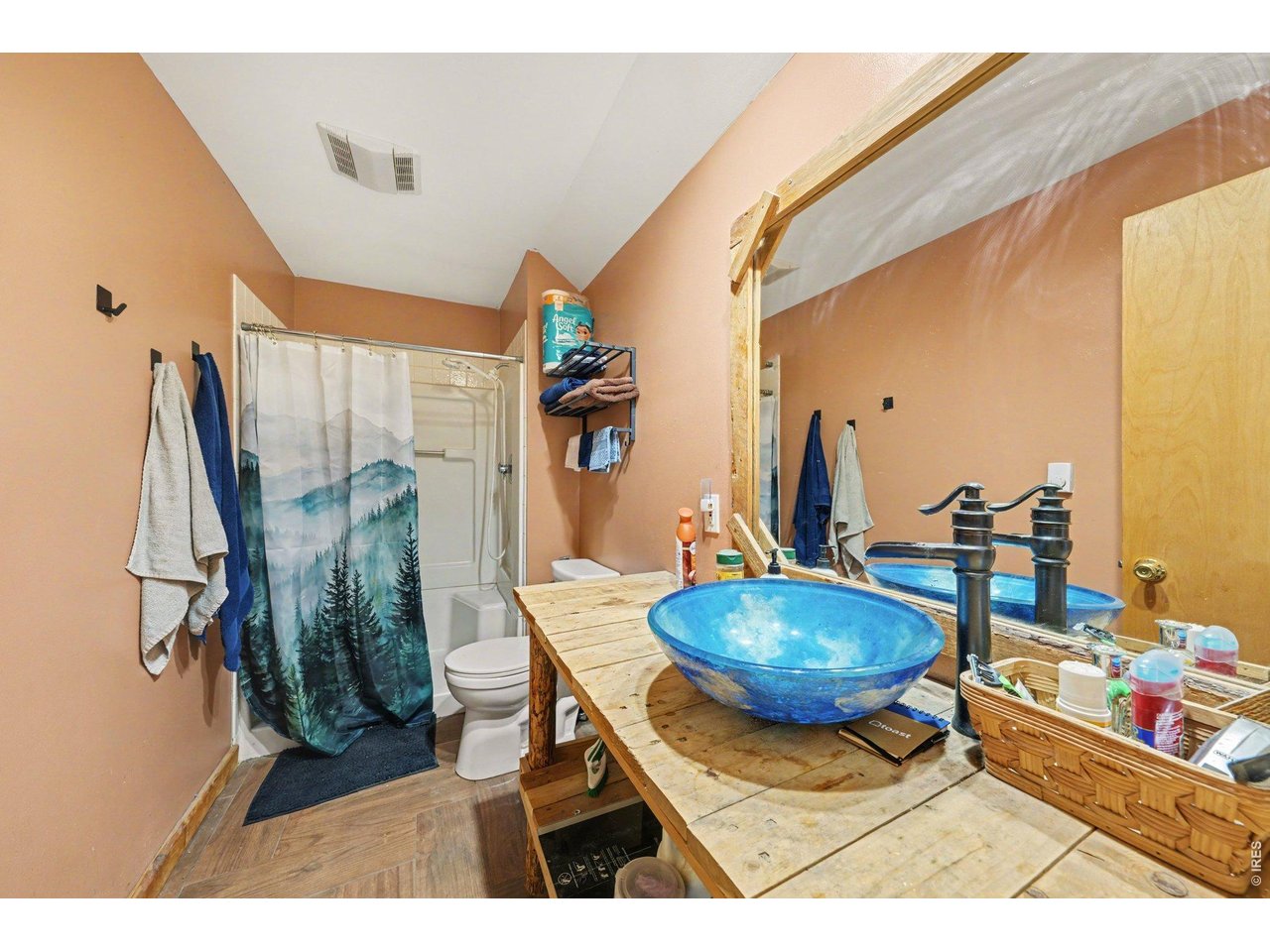 Lower bathroom