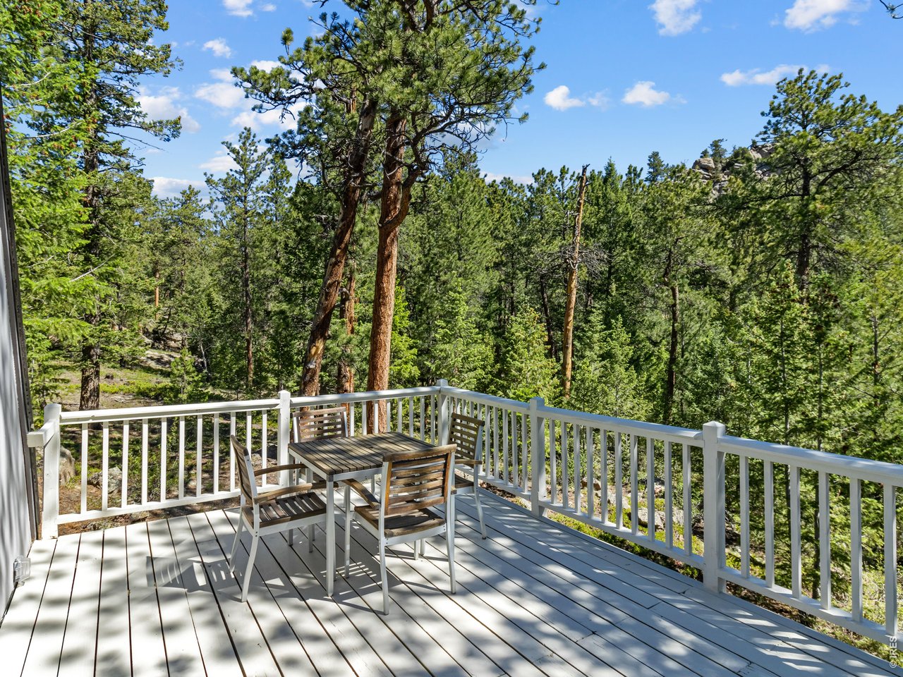 Property Photo 19 Back deck overlooks the forest, totally private