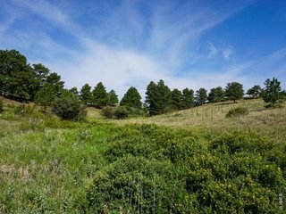 0 Stub Ct Livermore, CO 80536