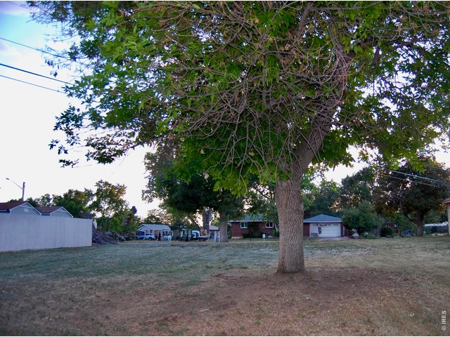 Property Photo 1 Rare find in Established Neighborhood with NO HOA